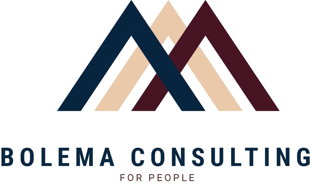 Bolema Consulting Logo